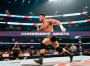 沃尔夫斯堡惊险战胜对手，继续保持不败