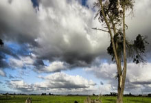 阿联酋队斗志昂扬取得一场胜利