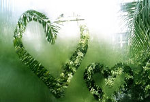 中国柔术选手技高一筹，夺得金牌