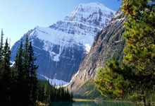 摩洛哥选手在马术比赛中喜获金牌