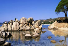 摩洛哥选手在马术比赛中喜获金牌