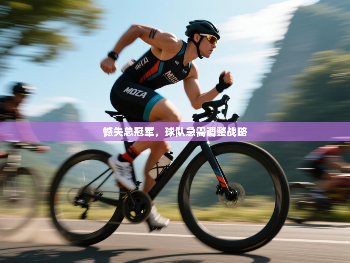 憾失总冠军,球队急需调整战略 第2张